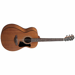 AAM50 OPN Epicéa de Sitka Open Pore Natural Ibanez