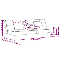 vidaXL Canapé-lit à 2 places avec deux oreillers gris clair tissu pas cher