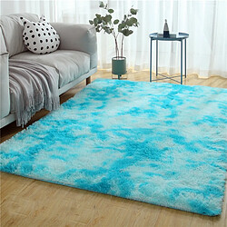 LUUCOZK Tapis à poils longs doux et moelleux pour chambre à coucher et salon - Cielbleu-100x100CM