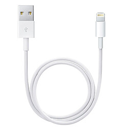 Avizar Câble de charge Compatible iPhone iPad iPod vers USB Synchro et charge Blanc