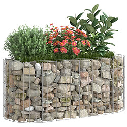 Avis Maison Chic Jardinière,Lit surélevé - Bac à fleurs - pot de fleur à gabion Fer galvanisé 120x50x50 cm -GKD22714