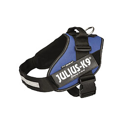 JULIUS K9 Harnais Power IDC 2?L?XL : 71?96 cm - 50 mm - Bleu - Pour chien 