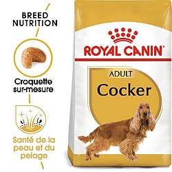 Royal Canin Race Cocker Adult