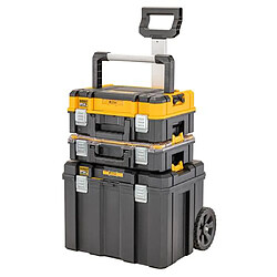 Kit TSTAK Dewalt DWST834111