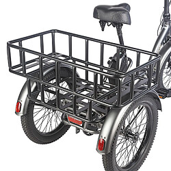 Acheter Tricycle électrique FAFREES F20 Mate, moteur sans balais 500 W, batterie 48 V/18,2 Ah, gros pneus 20 x 3,0 pouces - Gris