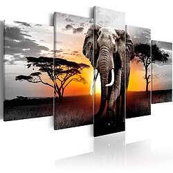 Decoshop26 Tableau toile de décoration murale impression premium en 5 parties sur châssis en bois motif Éléphant au coucher du soleil 100x50 cm 11_0015016