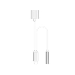 YP Select Adaptateur Suit Pour Iphone Téléphone Mobile Tête De Conversion 3.5Mm Câble Audio Argenté