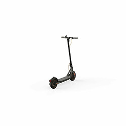 Avis Trottinette Électrique Segway AA.00.0010.78 Noir Gris 350 W