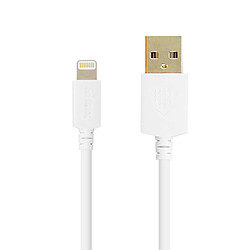 Câble 2m USB Compatible iPhone iPad iPod Inkax Charge rapide et sécurisée