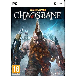 BIGBEN Warhammer ChaosBane Jeu PC