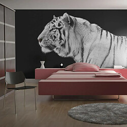 Paris Prix Papier Peint Tigre Blanc 193 x 250 cm 