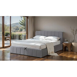 But Lit coffre 160 x 200 cm avec sommier AVIA en velours gris