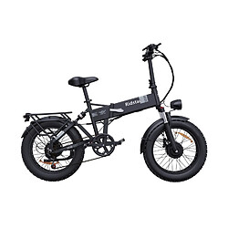 Vélo Électrique Ridstar H20 Pro - Dual Moteurs 500W*2 Batterie 48V23Ah Pneus 20" Frein à Disque d'huile Hydraulique - Noir