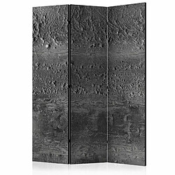 Paris Prix Paravent 3 Volets Grey Storm 135x172cm