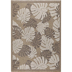 Jardindeco Tapis intérieur extérieur aspect jute marron Tijuana 9062 170 x 120 cm.