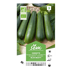 Sem Graines potagères courgette verte noire maraichère