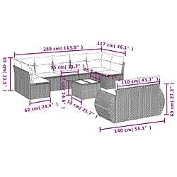 Avis vidaXL Salon de jardin 10 pcs avec coussins noir résine tressée