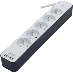 CHACON Bloc multiprise 5 prises 16 A avec 2 ports USB et câble 1,5 m HO5VV-F 3x1,5 mm² blanc et gris