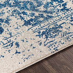 Avis Surya AGATHE - Tapis vintage, Bleu foncé, Gris clair et Beige - 120x170cm