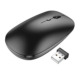 Souris optique sans fil Noire 2,4G DPI 1600 Little Boutik® 