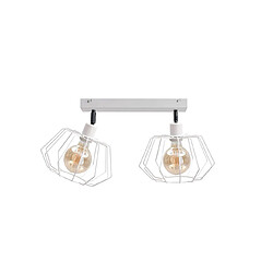 Lumière Plafonnier Luna Twin Blanc, 50cm, 2x E27