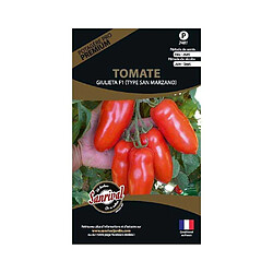 Sanrival Graines potagères premium tomate Giulieta