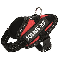 JULIUS K9 Harnais Power IDC Baby 1-XS : 29-36 cm - 18 mm - Rouge - Pour chien