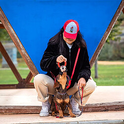 Jouet pour chien Mickey Mouse Rouge