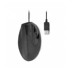 Urban Factory EMR01UF-N souris Droitier USB Type-A Optique 3600 DPI