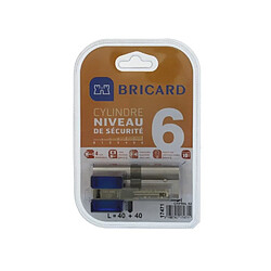 BRICARD CHIFRAL S2 17471 Cylindre 40+40 mm double entrée nickelé niveau de sécurité 6 