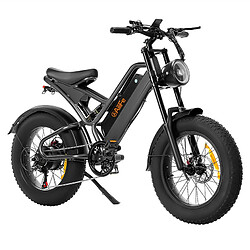 Vélo électrique AILIFE X20B, gros pneus 20*4,0 pouces, moteur 1000W, batterie 48V 15Ah