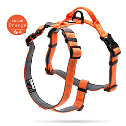 Universal Faisceau d'animaux domestiques réglable en nylon réflecteur avec col et ceinture en néoprène léger épaisseur randonnée course descente | Gilet pour chiens