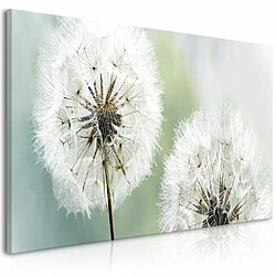 Paris Prix Tableau Imprimé Fluffy Dandelions Green Wide 45x100cm 