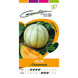 Gondian - Melon Charentais 