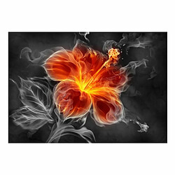 Paris Prix Papier Peint Fiery Flower Inside the Smoke 210 x 300 cm