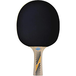 Schilder Fun Sport Raquette de ping-pong Legends 300 FSC