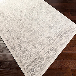 Surya VICKY - Tapis vintage, Ivoire et Gris clair – 200x274cm pas cher