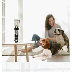 Acheter Zgeer Tondeuse Chien Charge Rapide Sans fil, [USB Plug] Toilettage Professionnel Animal Silencieux Rechargeable Sans Fil Détachable(Or)