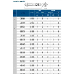 Acheter Goujons d'ancrage rawlex r-xpt - Dimension : M8 X 75 - RAWL FRANCE