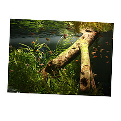 pvc aquarium adhésif fond autocollant poisson réservoir décor sous-marin bois l