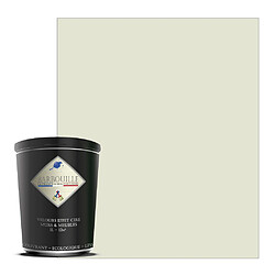 BARBOUILLE Peinture lessivable acrylique velouté – murs et plafonds