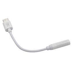 Wewoo Adaptateur blanc audio USB-C / Type-C vers Jack 3,5 mm ABS, Longueur: environ 10cm