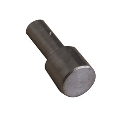 Saeco PIVOT POUR PISTON