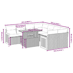 Avis vidaXL Salon de jardin avec coussins 9 pcs beige résine tressée