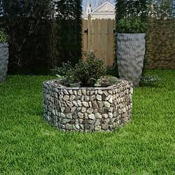 Maison Chic Jardinière,Lit surélevé - Bac à fleurs - pot de fleur à gabion hexagonale 100 x 90 x 50 cm -GKD10481