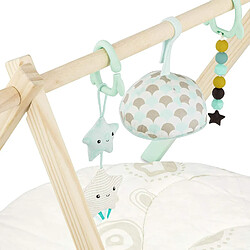 B. toys by Battat d?éveil et de Jeu ? Starry Sky ? 3 Jouets sensoriels ? Tapis en Coton Biologique ? Portique en Bois Naturel ? pour bébés et Enfants, BX1760C1Z, Menthe et Ivoire pas cher