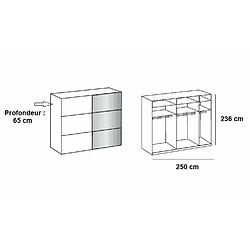 Inside 75 Armoire coulissante LISBETH 1 porte chêne 1 miroir 250 x 236 cm hauteur