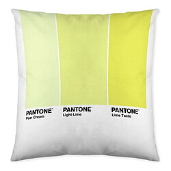 Pantone Housse de coussin Ombre C Réversible (50 x 50 cm) 