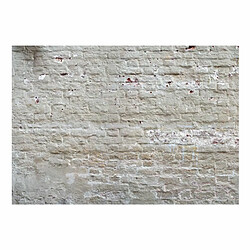 Paris Prix Papier Peint Hidden Harmony 140 x 200 cm