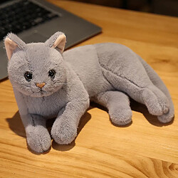 Universal Homemiyn Cat Doll mignon en peluche de fille en peluche fille ragdoll drague cadeau d'anniversaire (30x15x20cm) (gris)